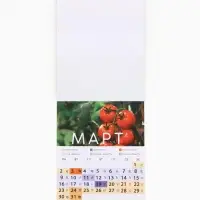 Календарь 2026 отрывной на магните &laquo;Садово-огородный&raquo;, 9.5&times;13 см