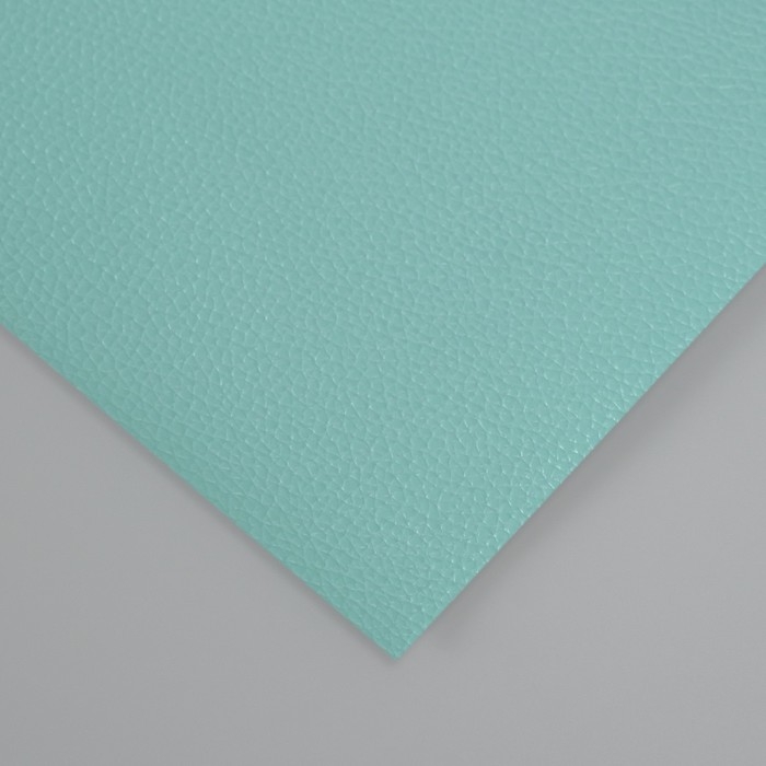 Лист для творчества иск.кожа Лист для творчества иск.кожа "Рисунок Личи" мятный лист 33х20 см толщина 0,7 мм