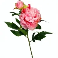 Цветы искусственные &laquo;Пион дуо&raquo;, 12&times;60 см, розовые