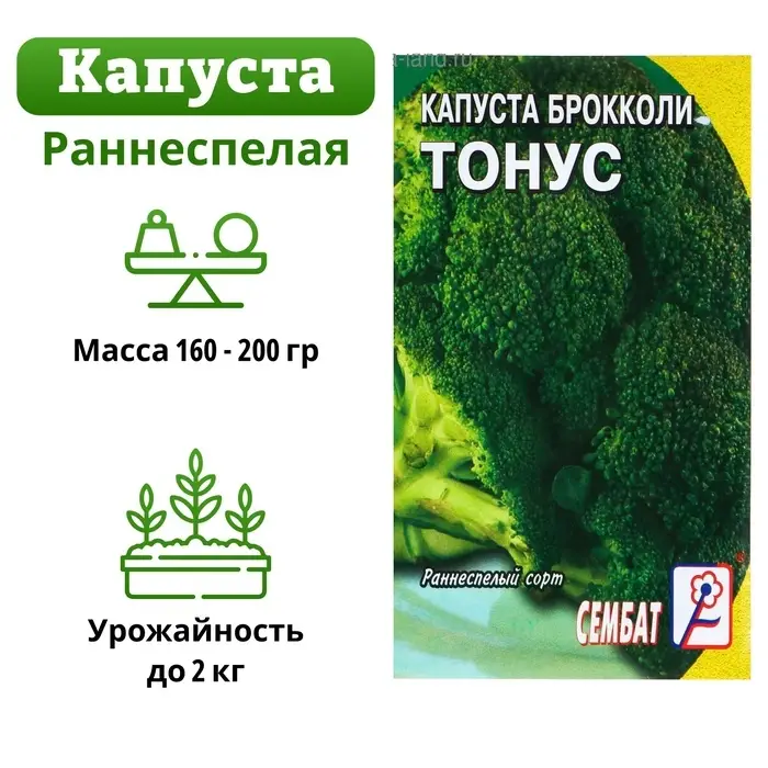 Семена Капуста брокколи &laquo;Тонус&raquo;, 0.5 г, раннеспелая, &laquo;Сембат&raquo;