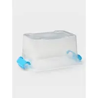 Контейнер для хранения Доляна, 20&times;15&times;10.5 см, крышка с ручкой на защёлке, МИКС