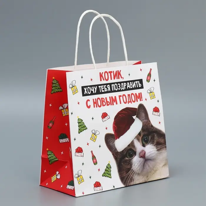 Пакет подарочный новогодний крафтовый &laquo;Котик&raquo;, 22&times;22&times;11 см