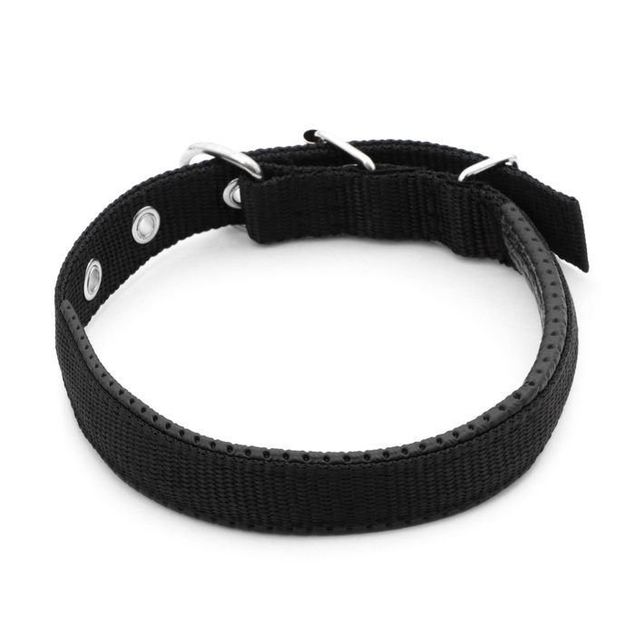 Ошейник Ошейник "Комфорт" комбинированный (полиэстер, искусственная кожа), 45 х 2 см, ОШ 33-39 см, чёрный 60