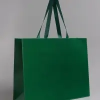 Пакет подарочный ламинированный горизонтальный &laquo;Изумрудный&raquo;, 40&times;32&times;13 см