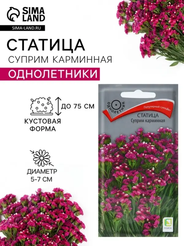Семена цветов Статица &laquo;Суприм карминная&raquo;, 0.15 г, &laquo;ПОИСК&raquo;
