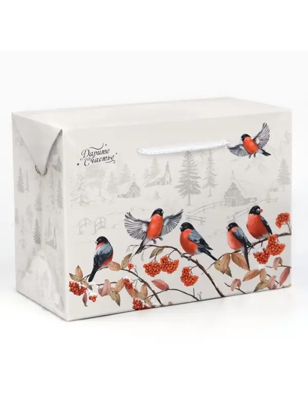 Пакет—коробка «Зима в деревне», снегири, 28 х 20 х 13 см Пакет—коробка «Зима в деревне», снегири, 28 х 20 х 13 см