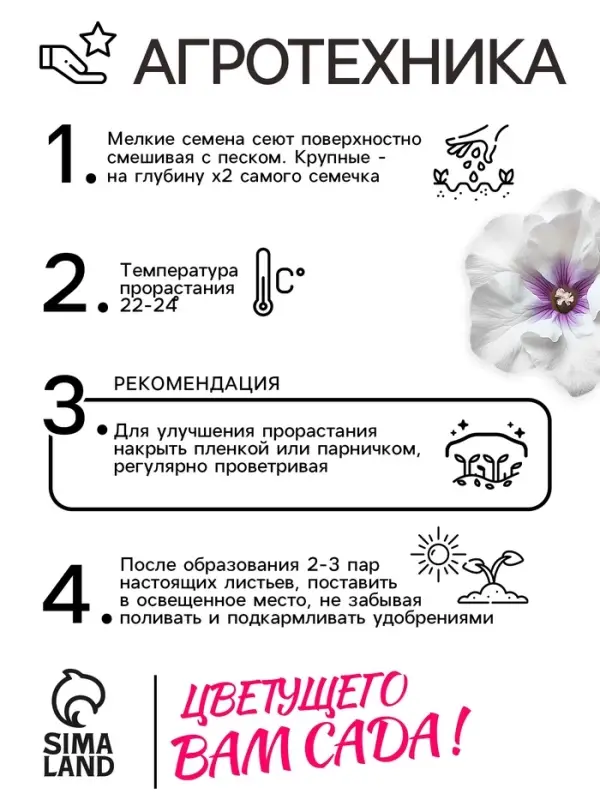 Семена комнатных цветов Глоксиния Аванти &laquo;Светло-фиолетовая&raquo;, F1, &laquo;Гавриш&raquo;, 4 шт.