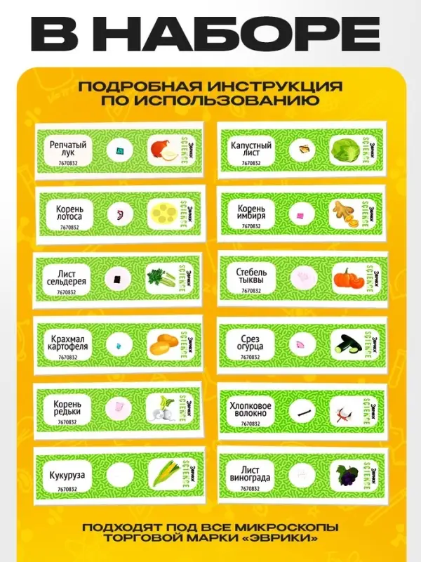 Набор для опытов &laquo;Набор микропрепаратов&raquo;, растения