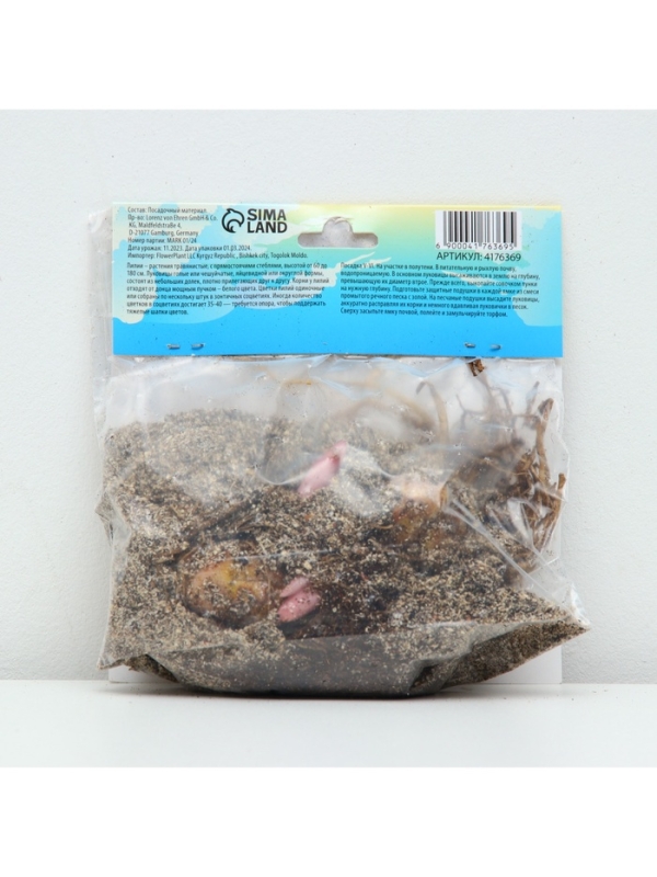 Лилия Восточная «Дабл Мэджик Стар», луковица в пакете с перфорацией, р-р 12/14, 3 шт. Лилия Восточная «Дабл Мэджик Стар», луковица в пакете с перфорацией, р-р 12/14, 3 шт.