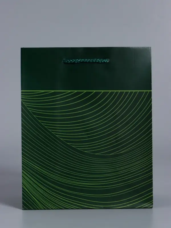 Пакет подарочный "Сдержанный шарм" ламинированный 18 х 22,3 х 10 см