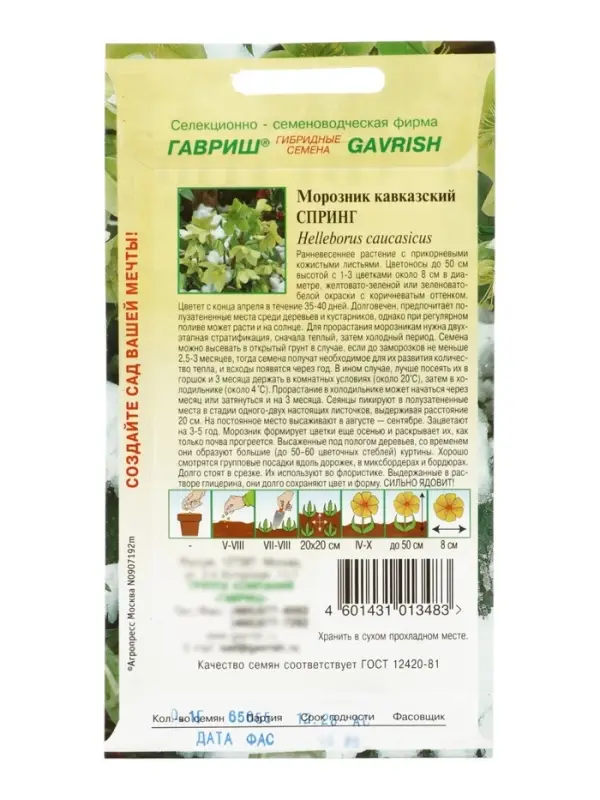 Семена цветов Морозник кавказский Спринг (лимонно-зеленый)* 0,1 г DHп