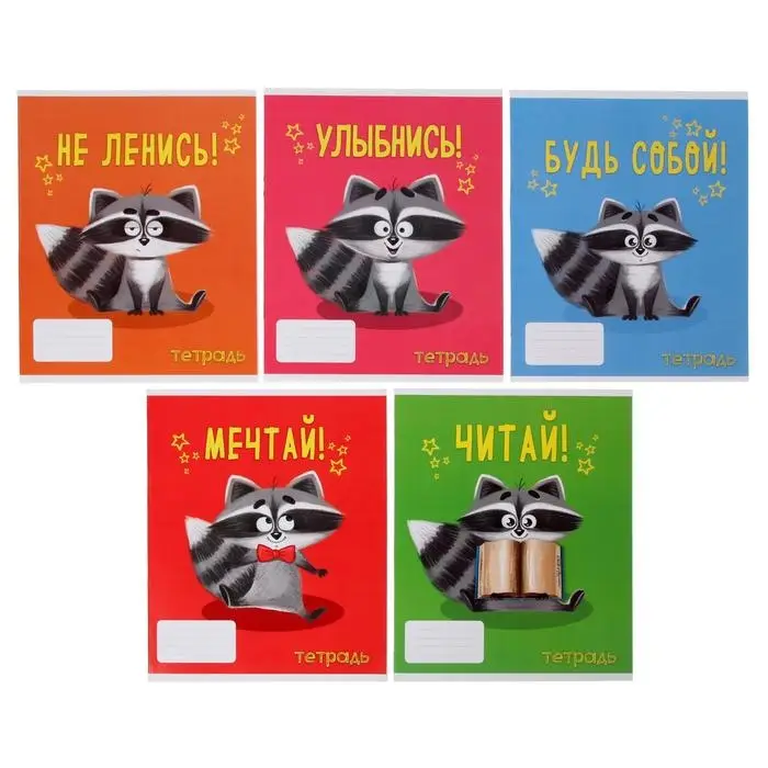 Тетрадь 24 листа в линейку, Calligrata &laquo;Советы енота&raquo;, обложка мелованный картон, МИКС