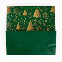 Подарочный пакет «Новогодний», зелёный 40 × 40 × 40 см Подарочный пакет «Новогодний», зелёный 40 × 40 × 40 см