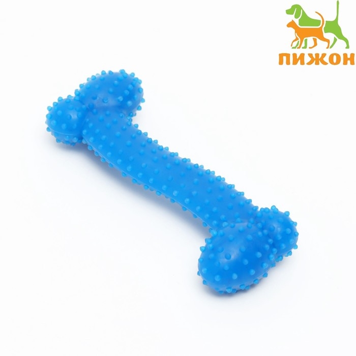 Игрушка жевательная суперпрочная Игрушка жевательная суперпрочная "Любимое лакомство", 11 см, голубая