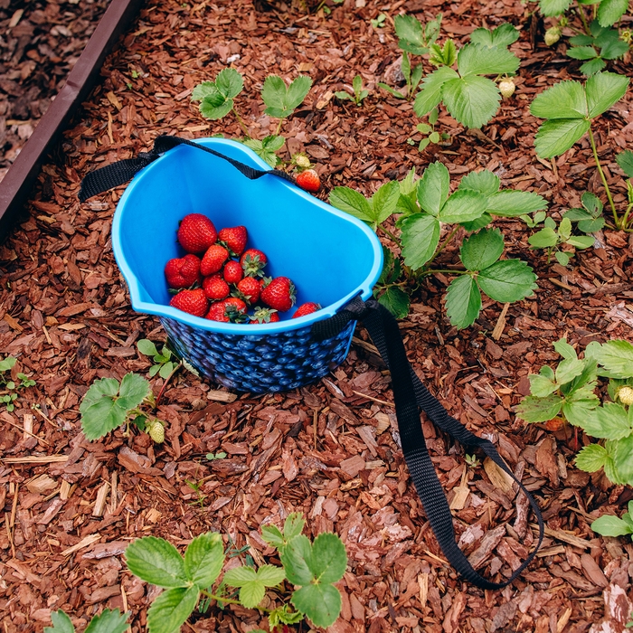 Ёмкость для сбора ягод, 3 л, «Черника», голубая