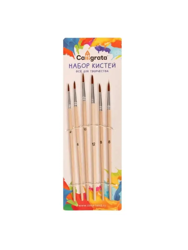 Набор кистей для рисования, нейлон, 6 штук: № 2, 4, 6, 8, 10, 12, круглые, деревянная ручка, международный размер