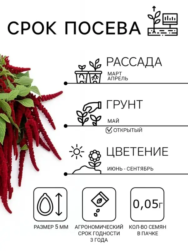 Семена цветов Амарант &laquo;Малиновые бусы&raquo;, однолетник, 0.2 г, &laquo;Агрофирма АЭЛИТА&raquo;