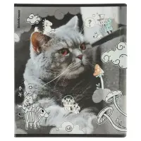 Тетрадь 48 листов в клетку ErichKrause Dream Cat, 60 г/м&sup2;, обложка мелованный картон, МИКС