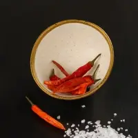 Салатник Magistro Poursephona, 300 мл, d=11.5 см, фарфор, белый