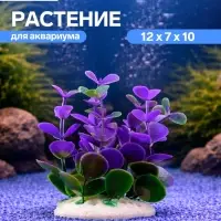 Растение искусственное аквариумное кустовое, 10 см, фиолетовое
