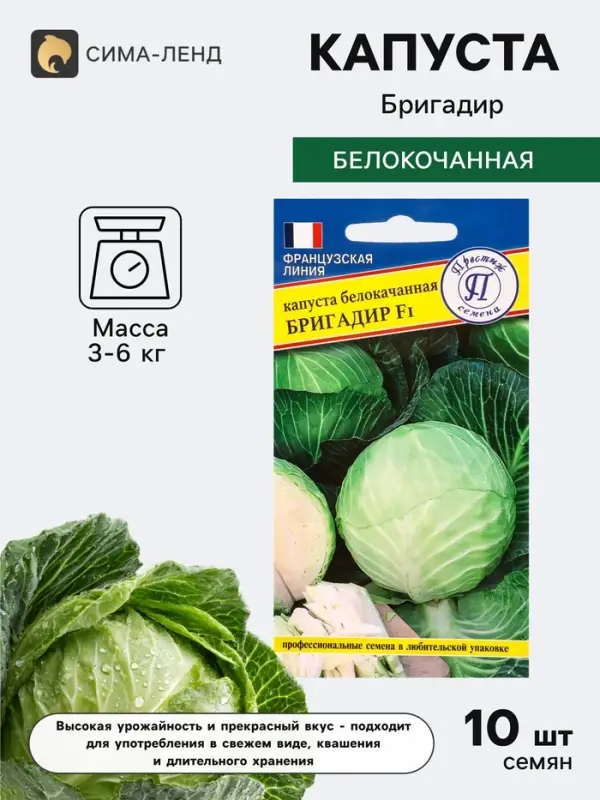 Семена Капуста белокочанная &laquo;Бригадир&raquo;, F1, 10 шт., &laquo;Престиж семена&raquo;