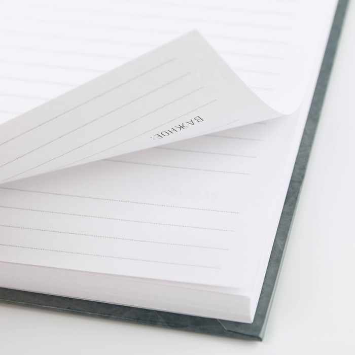 Ежедневник А5, 80 листов, недатированный, в твердой обложке «Герб» Ежедневник А5, 80 листов, недатированный, в твердой обложке «Герб»