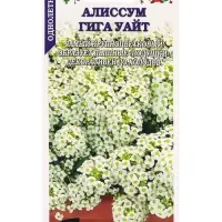 Семена Алиссум Гига Уайт /Сотка/ 0,01 г/*1800 Семена Алиссум Гига Уайт /Сотка/ 0,01 г/*1800