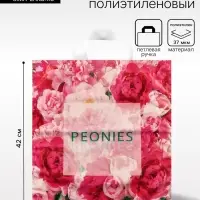 Пакет &laquo;Изобилие пионов&raquo;, полиэтиленовый, с петлевой ручкой, 42&times;38 см, 37 мкм