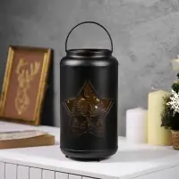 Светодиодная фигура &laquo;Звездная ночь&raquo;, 12.3&times;23 см, 1 LED, от батареек АААх3, свечение тёплое белое