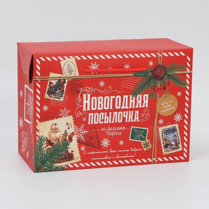 Пакет‒коробка «Посылочка», 28 х 20 х 13 см Пакет‒коробка «Посылочка», 28 х 20 х 13 см