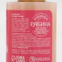 Подарочный набор новогодний «Сладкого года», гель для душа 2 шт и мочалка для тела, URAL LAB