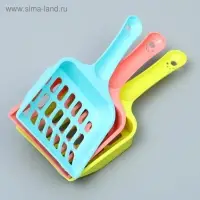 Совок "Вдохновение", микс видов и цветов