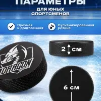 Шайба хоккейная Winter Star, детская, d=6 см