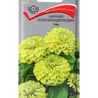 Семена цветов Цинния георгиноцветковая Энви (ЦВ) ("1) 0,4гр.