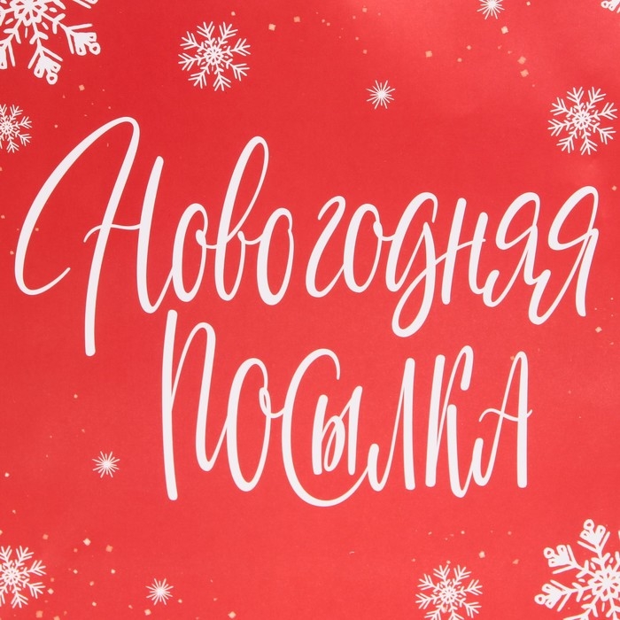 Пакет подарочный новогодний ламинированный квадратный «Новогодняя посылка», 30 х 30 х 12 см, Новый год Пакет подарочный новогодний ламинированный квадратный «Новогодняя посылка», 30 х 30 х 12 см, Новый год