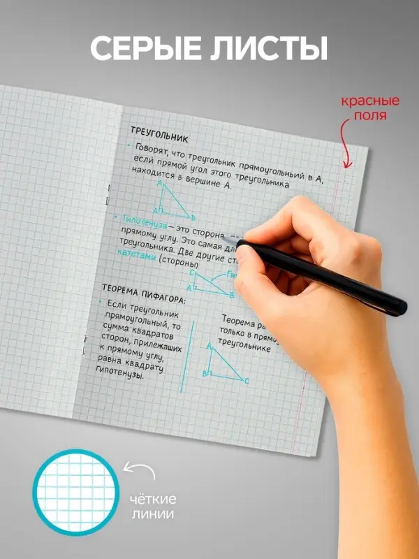 Тетради 96 листов в клетку Calligrata &laquo;Авто&raquo;, серые листы, 4 штук