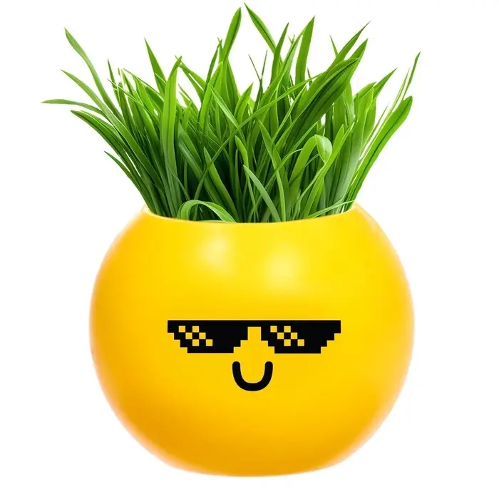 Набор для опытов, для детей &laquo;Выращиваем травку&raquo;, растение в горшочке - эмодзи &laquo;Крутой&raquo;