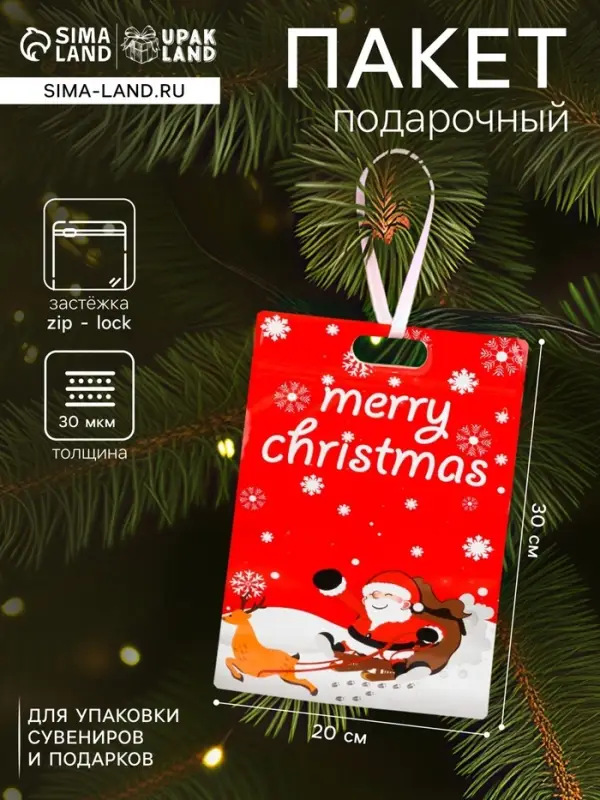 Пакет подарочный новогодний, &laquo;С новым годом!&raquo;, с zip-lock застежкой, 20&times;30+4.5 см