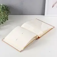 Фотоальбом Делюкс 200ф 10X15см, бум.карм.с мемо, книжн. пер-т, бежевый