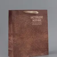 Пакет подарочный крафтовый, упаковка, &laquo;Нереальных высот&raquo;, M 25.5&times;30&times;9 см