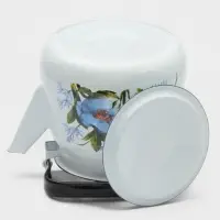 Чайник &laquo;Цветы синие&raquo;, 3.5 л, эмалированная сталь, белый