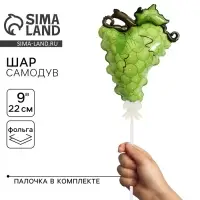 Воздушный шар фольгированный - самодув 9" «Виноград», с палочкой Воздушный шар фольгированный - самодув 9" «Виноград», с палочкой