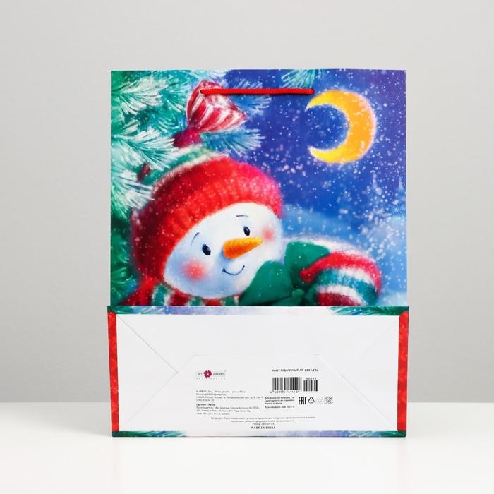 Пакет подарочный "Снеговик с подарком", 26 х 32 х 12 см.