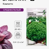 Семена Базилик &laquo;Компатто&raquo;, 210 шт., &laquo;Дом семян&raquo;