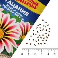 Семена цветов Гацания Новый день &laquo;Розовая полоса&raquo;, ц/п, для балкона, веранды, цветника, однолетник, низкорослая, ц/п, 5 шт.
