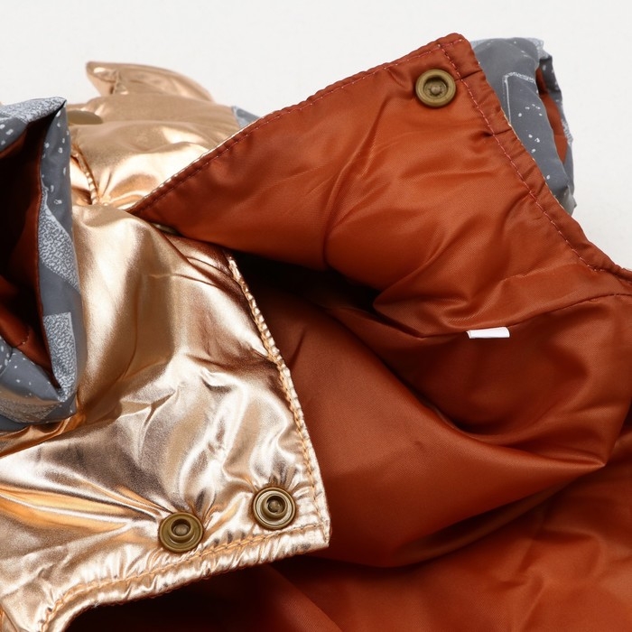 Комбинезон Комбинезон "Ультра", размер 12 (ДС 28 см, ОГ 38 см, ОШ 27 см), золотой