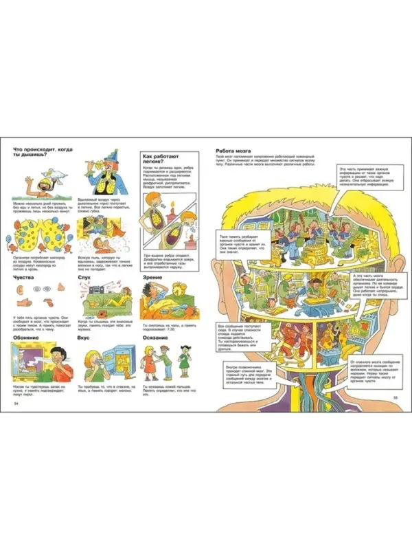 Энциклопедия детская Энциклопедия детская