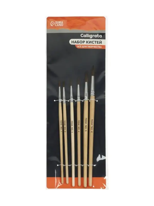 Набор кистей для рисования, пони, 6 штук: № 1, 2, 3, 4, 5, 6, круглые, деревянная ручка, международный размер