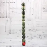 Ёлочные шары &laquo;Новогодние ветви&raquo;, d=5 см, набор 12 шт., зелёные
