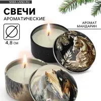Свечи в железной банке &laquo;Лошади&raquo;, аромат мандарин и еловые ветки, диам 4.8 см, 2 шт.